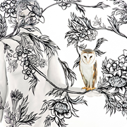 Birds Of Prey - Owl on Bouquet.  
3 editions - 140x104cm.
10 editions - 120x90cm.
10 editions - 80x62cm.
