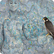 Birds Of Prey - Peregrine Falcon With Spotted Sun II.  
140x104cm - 120x90cm - 80x62cm.
