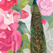 Camelia And Peacock - Birds of a Feather - 2014

1/1	119x160cm	1 edition.
Special Edition	104x140cm  3 editions.
Large	90x120cm	10 editions.
Small	62x80cm	10 editions.

