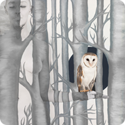 Owl In Woods III - 140x104cm, 120x90cm, 80x62cm.