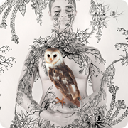 Native Bouquet with Owl  - 120x120cm, 110x110cm, 70x70cm.