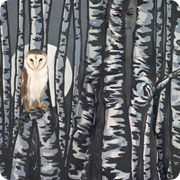 Owl In Birch Trees - 140x104cm - 120x90cm - 80x62cm