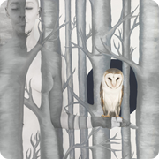 Owl In Woods - 140x104cm - 120x90cm - 80x62cm