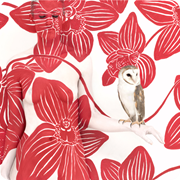 NEW RELEASE - Owl on Bold Orchid II  - 140x104cm - 120x90cm - 80x62cm