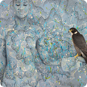 NEW RELEASE - Peregrine Falcon with spotted sun II - 140x104cm - 120x90cm - 80x62cm